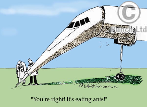 itseatingants.jpg